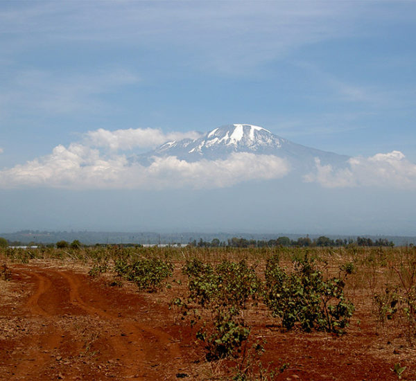 Mont Kilimanjaro 2005